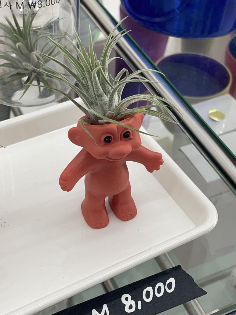 카페샵원 이미지
