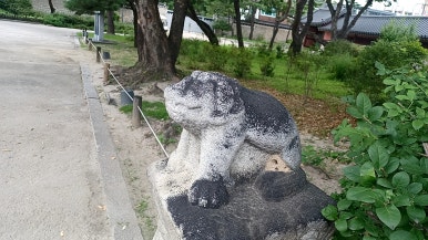 백택과나티 이미지