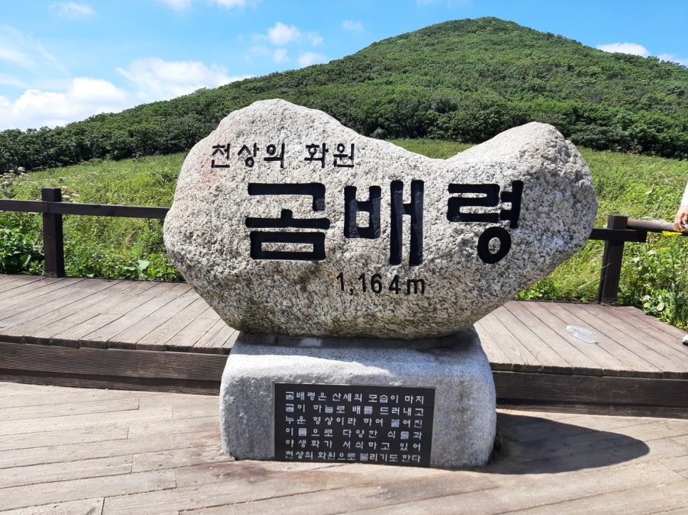 아침가리계곡캠핑장 이미지