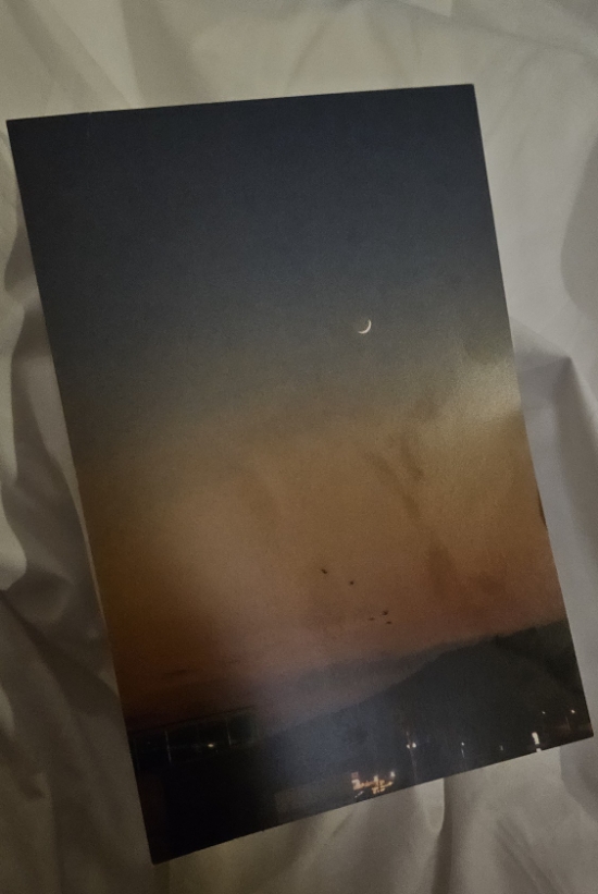 윌라라커피 이미지