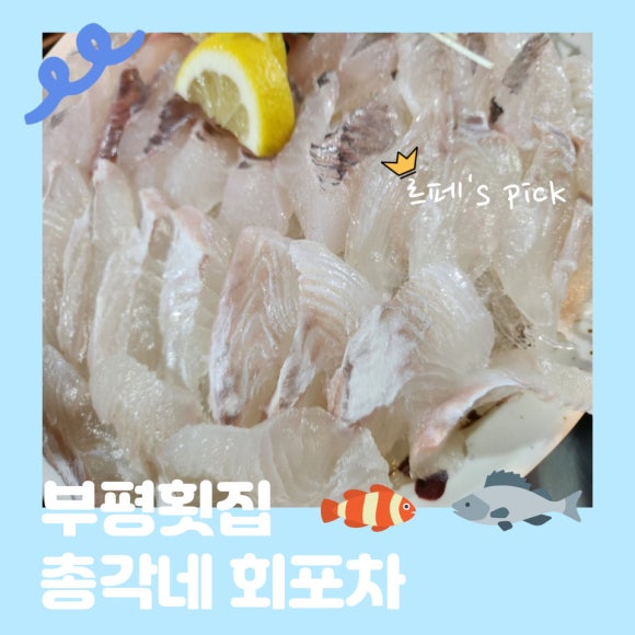 총각네활어회 이미지