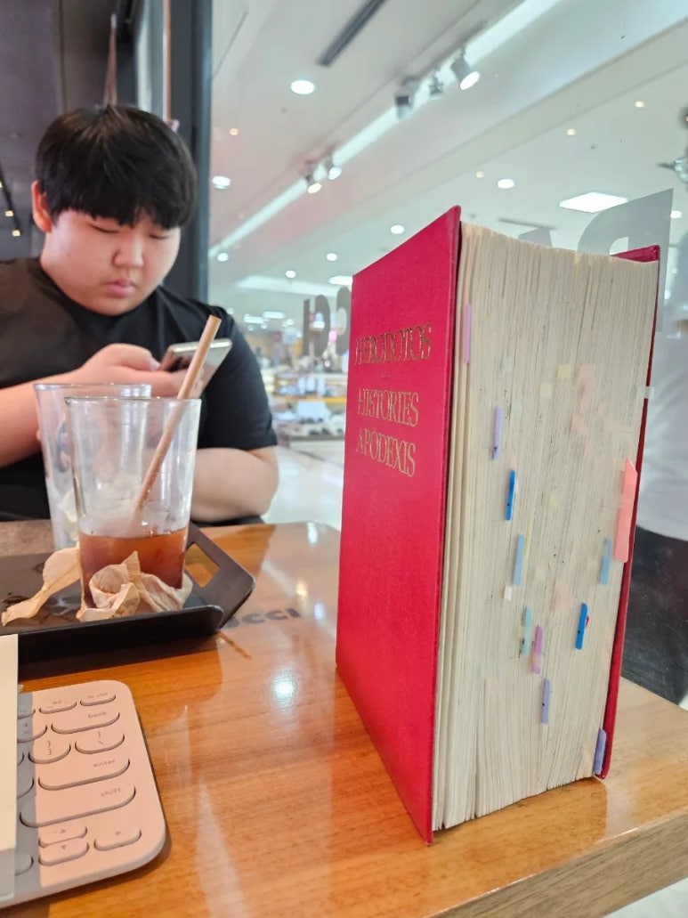 (주)대동백화점 이미지