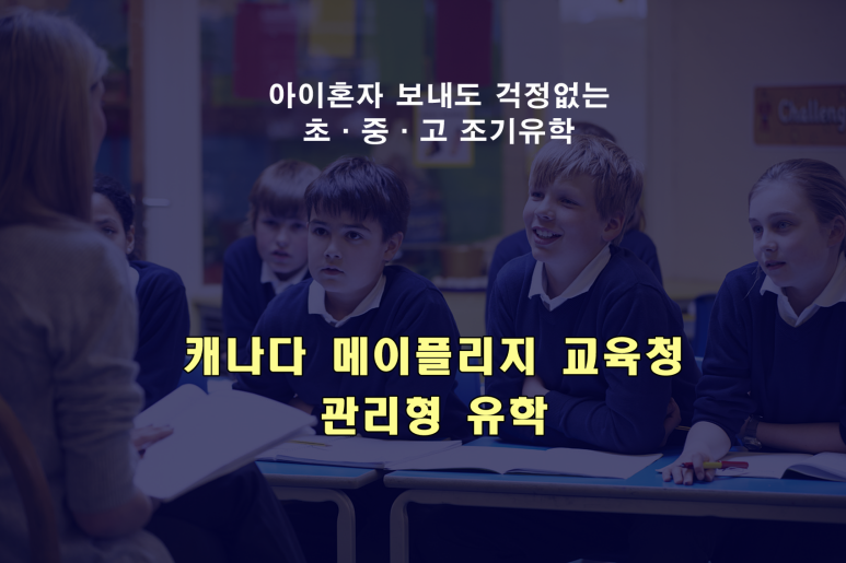 유학네트강남 이미지