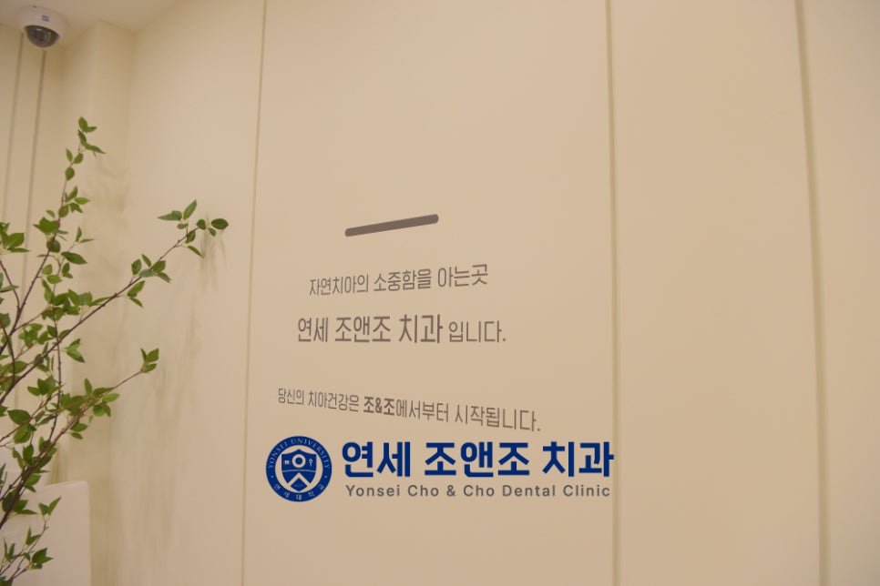 연세조앤조치과의원 이미지