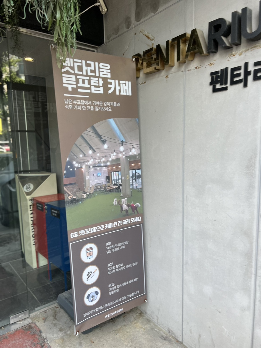 강남 애견카페 펫타리움 청담점 루프탑 후기 — 사진 3