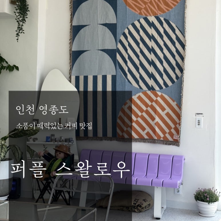 퍼플 스왈로우 이미지