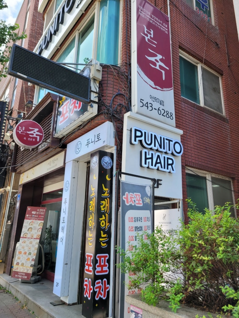 푸니토 이미지