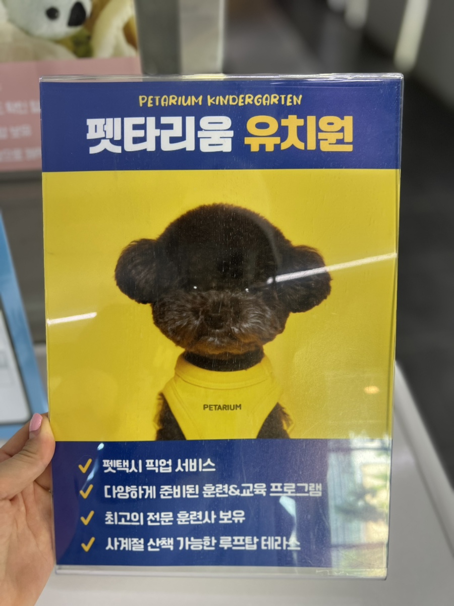 강남 애견카페 펫타리움 청담점 루프탑 후기 — 사진 5