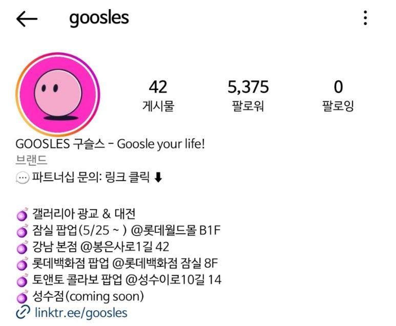 구슬스(Goosles) 이미지