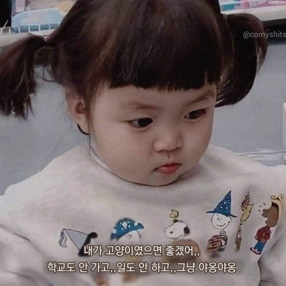아드망 이미지
