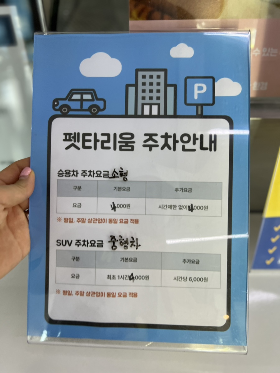 강남 애견카페 펫타리움 청담점 루프탑 후기 — 사진 6