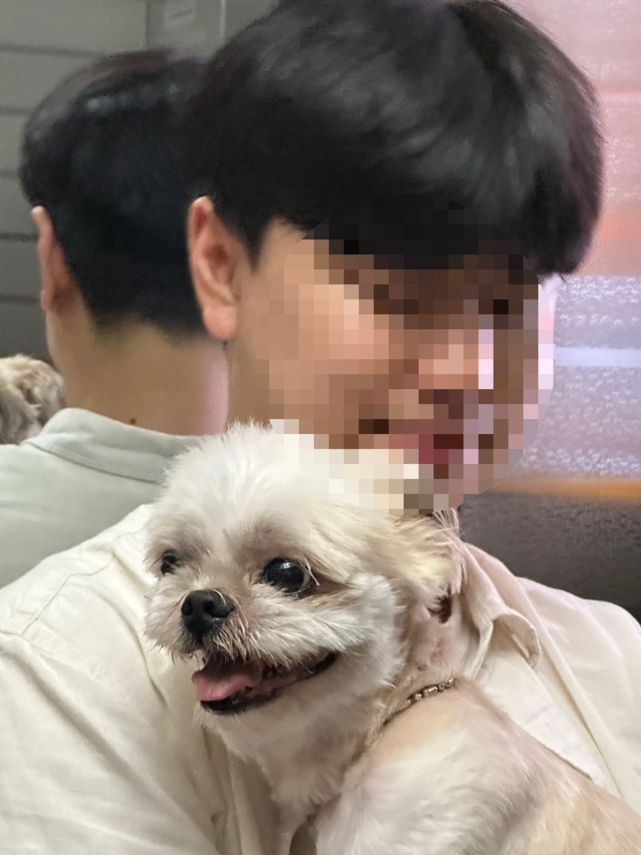 두둥실뒷고기 이미지
