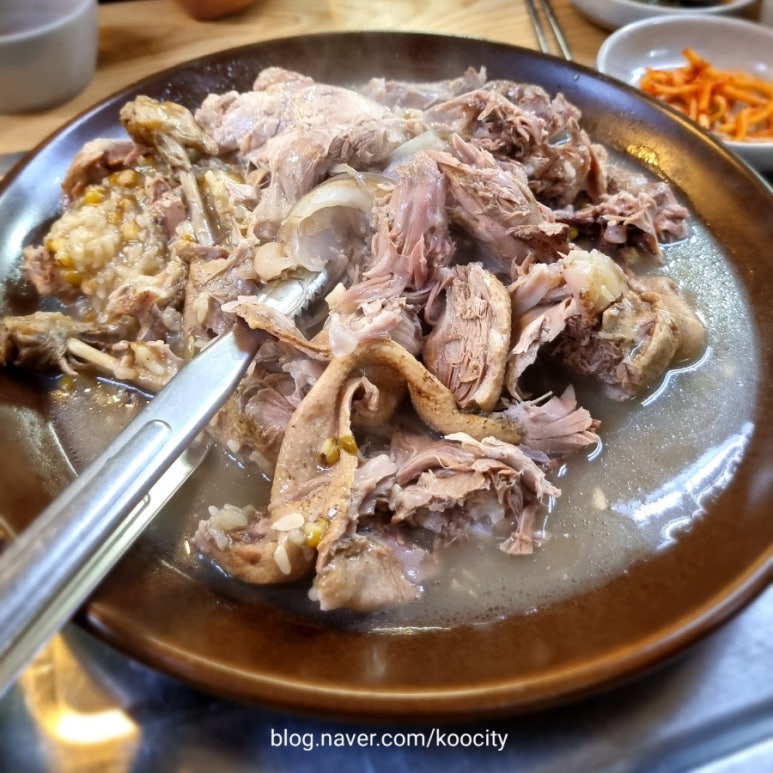 명인오리 이미지