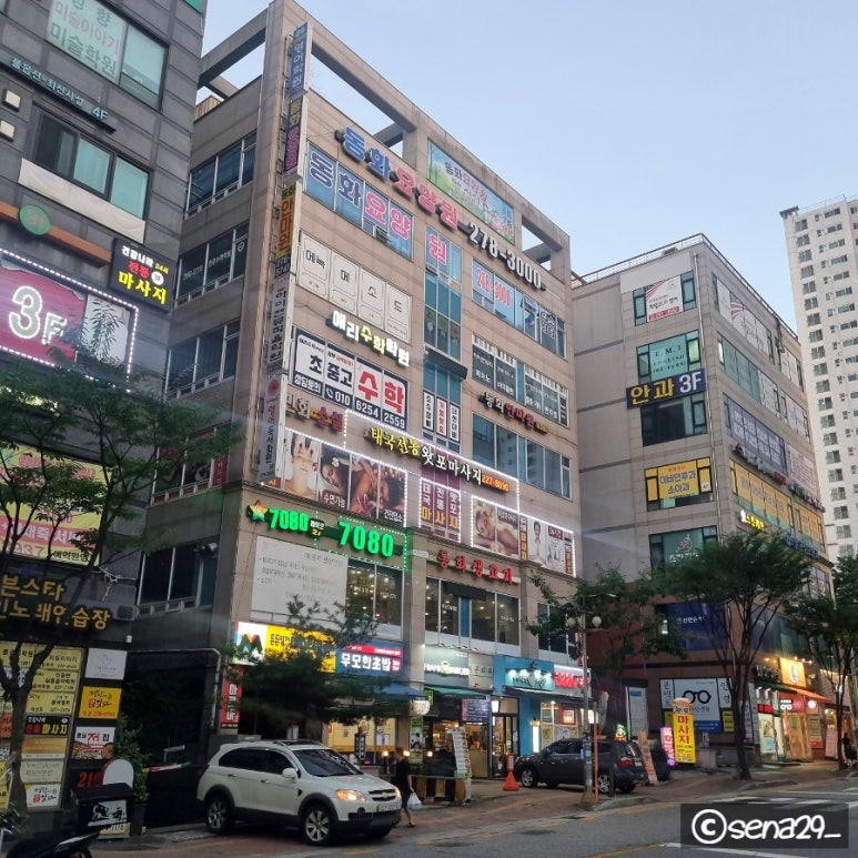 동화생고기 이미지