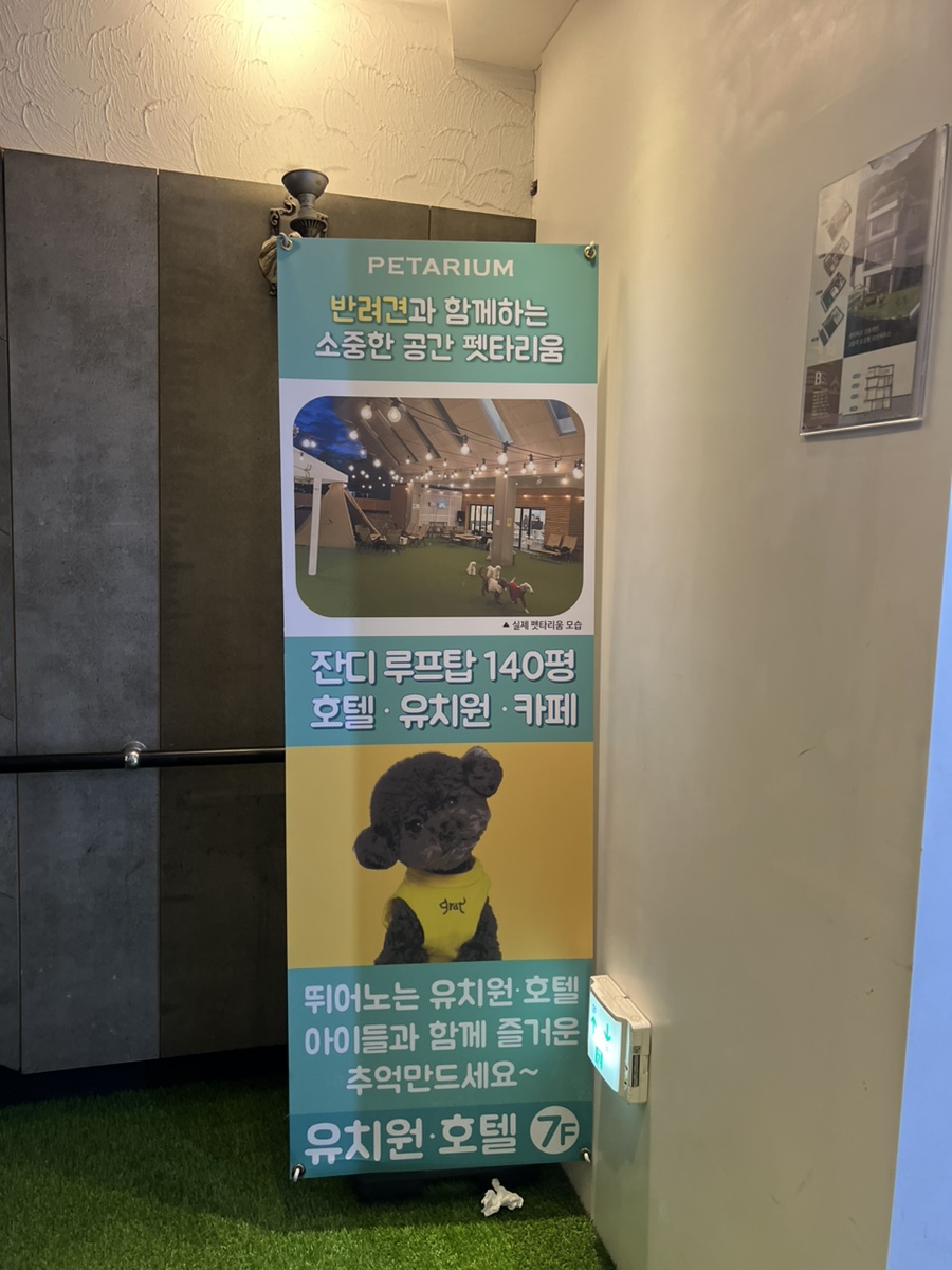 강남 애견카페 펫타리움 청담점 루프탑 후기 — 사진 2