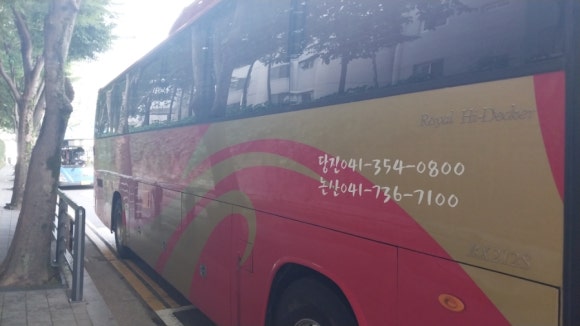 해나루청솔관광 이미지