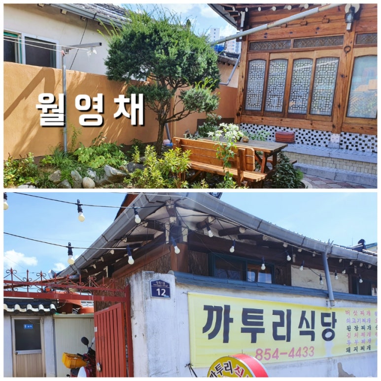 월영채 이미지