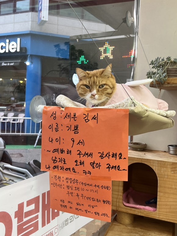 세븐일레븐대전선화점 이미지