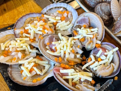 조개마당 이미지