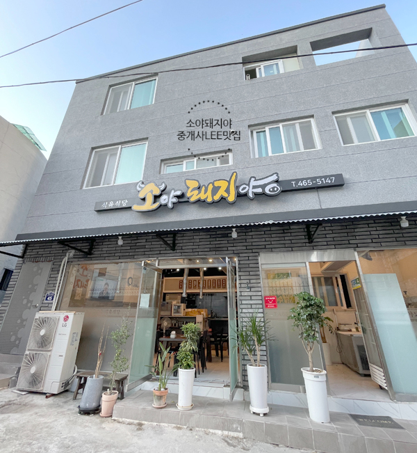 소야돼지야 이미지