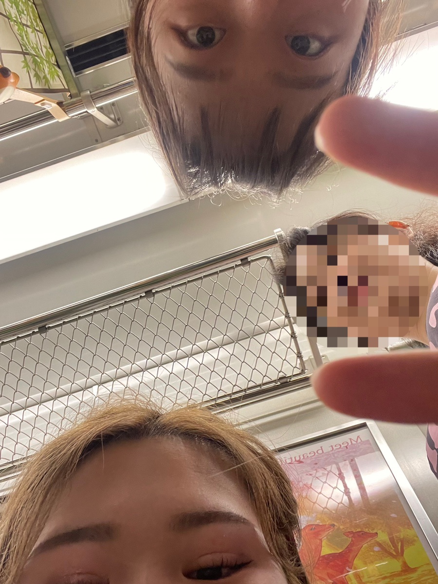 스고이 이미지