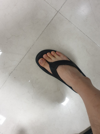 더현대서울톰그레이하운드 이미지