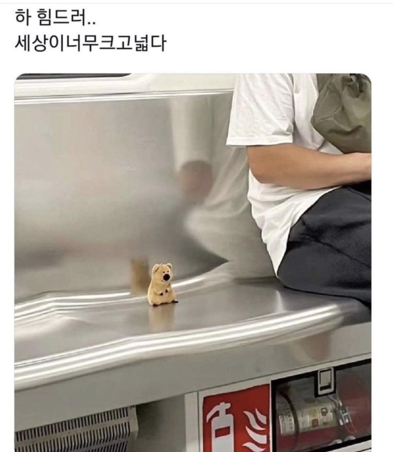 김밥사랑 이미지