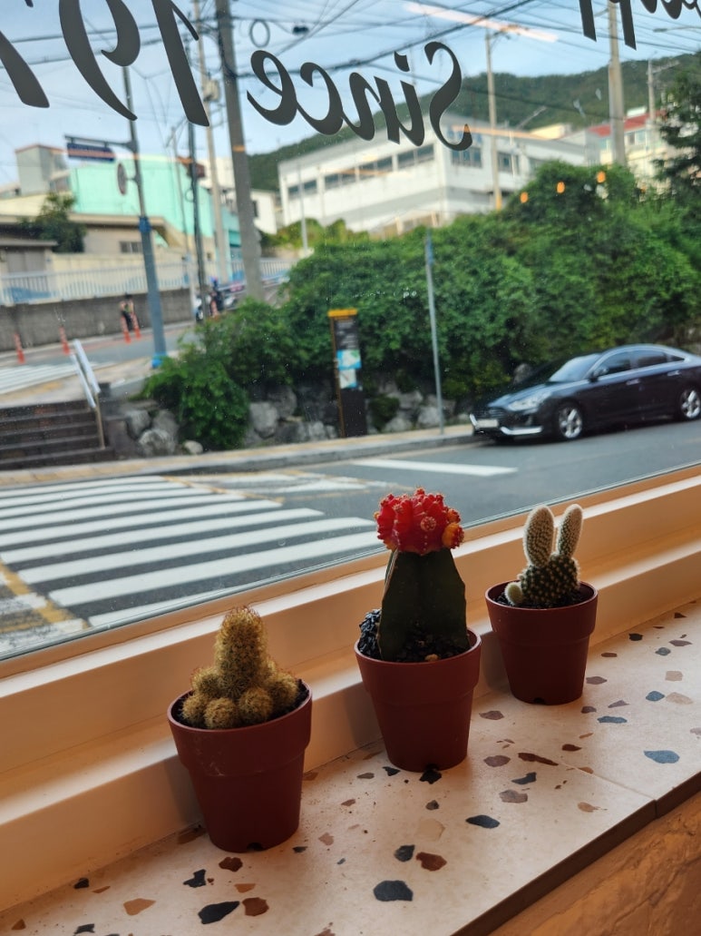 명동포엠부산 이미지