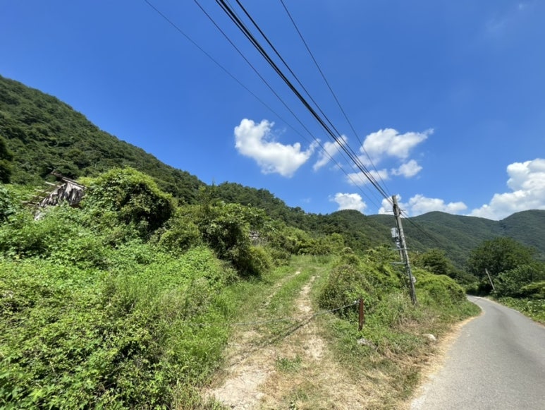 신선왕선 이미지