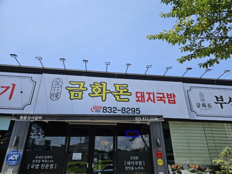 삼천포금화돈 이미지