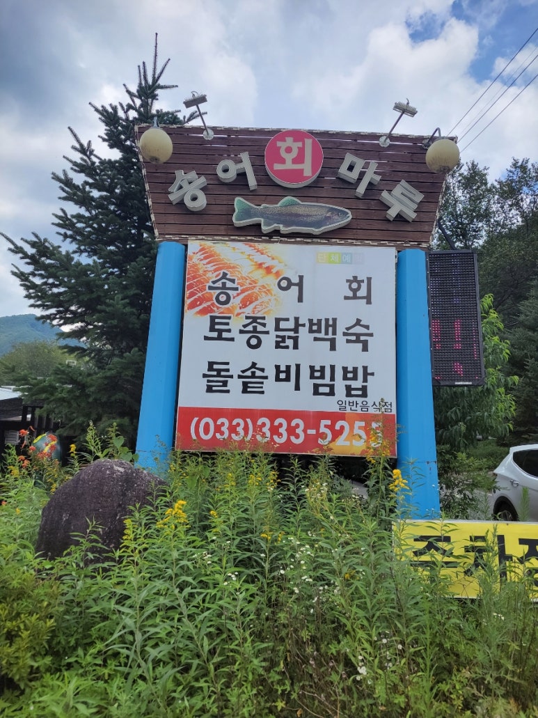 송어회마루 이미지