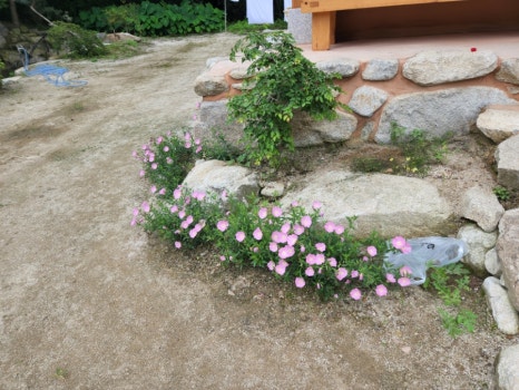 경남용추민박 이미지