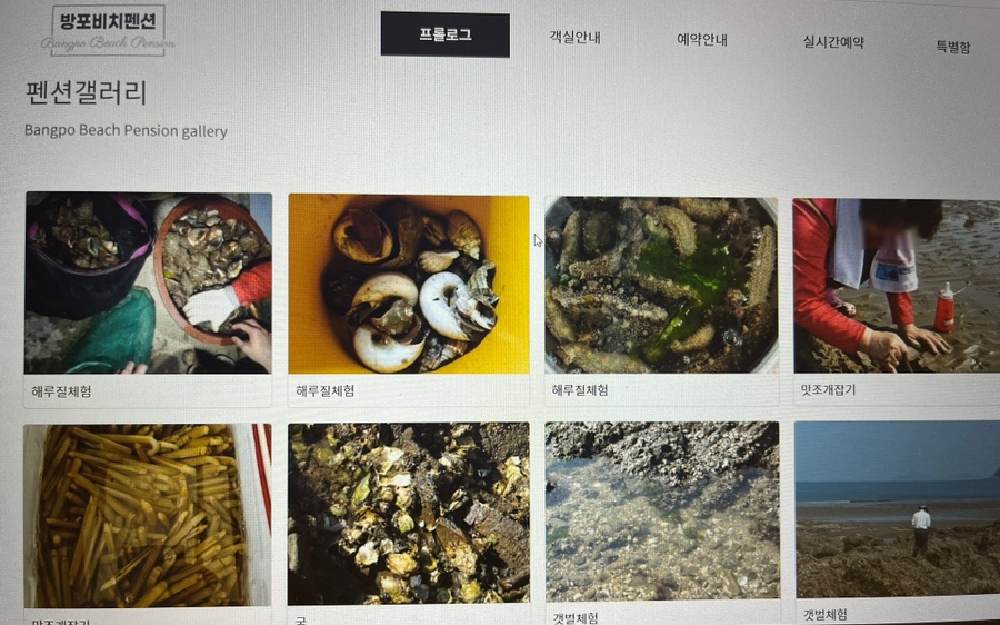 방포비치 이미지