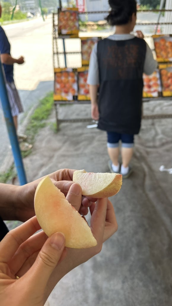 원진농원 이미지