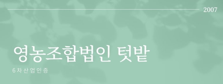텃밭영농조합법인 이미지