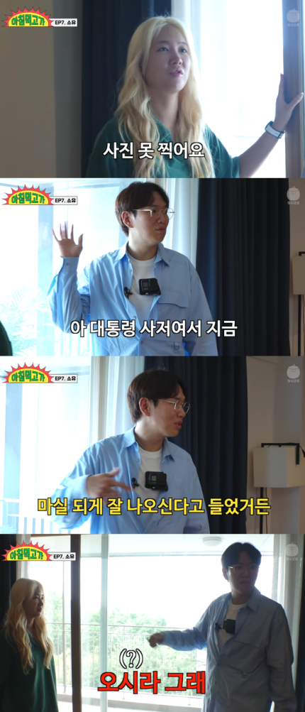 소유집 이미지