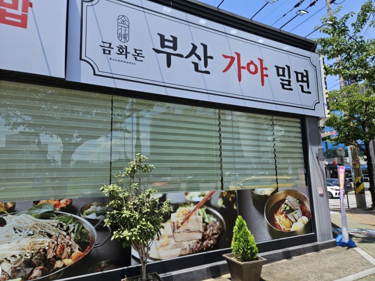 삼천포금화돈 이미지