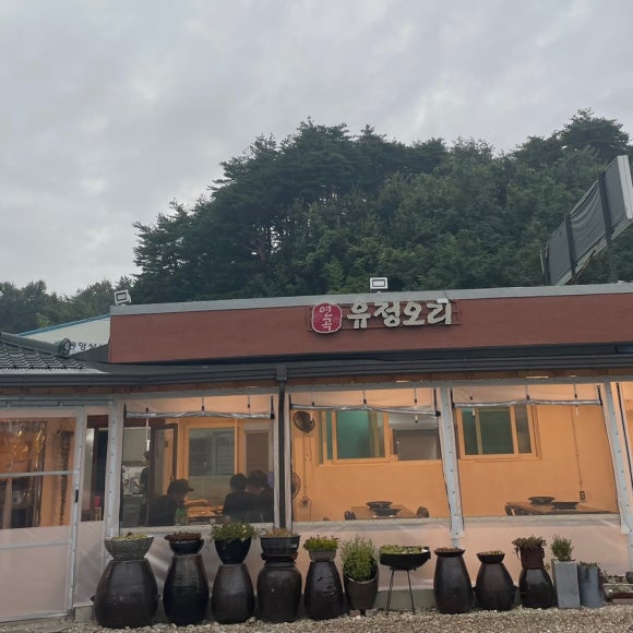 연곡유정오리 이미지