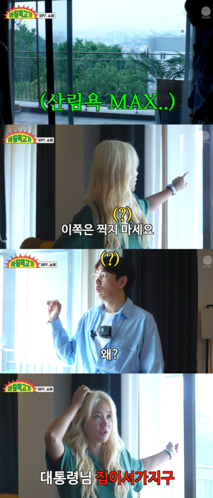 소유집 이미지