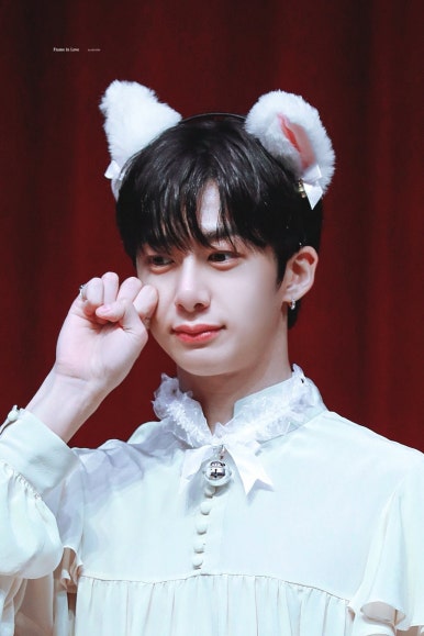 라인월드 이미지