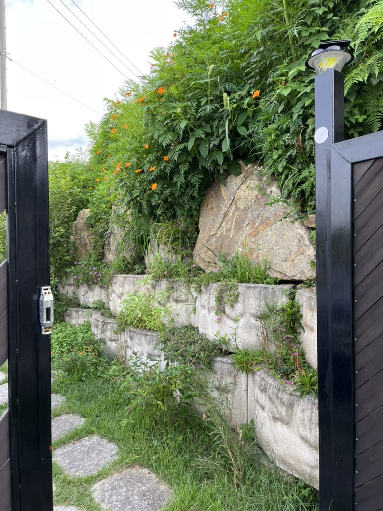 온민박 이미지