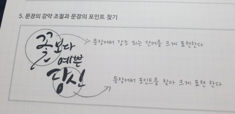 캘리스테이 이미지