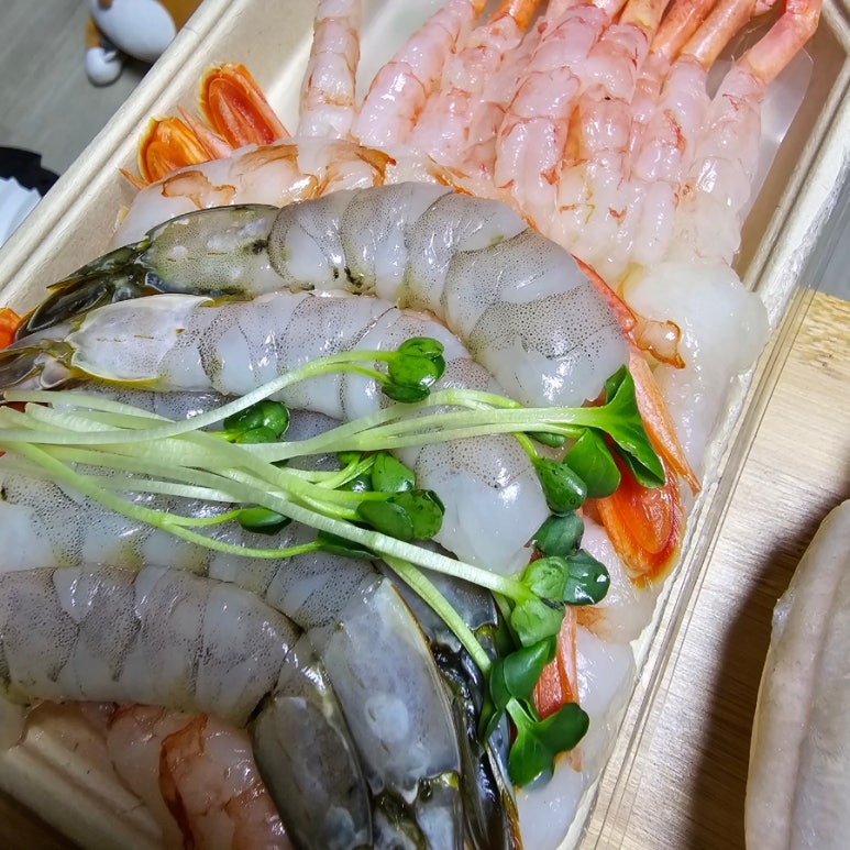 파닥파닥회참치 이미지