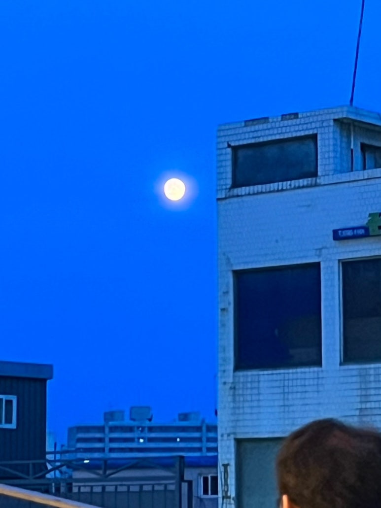 유하타코 이미지