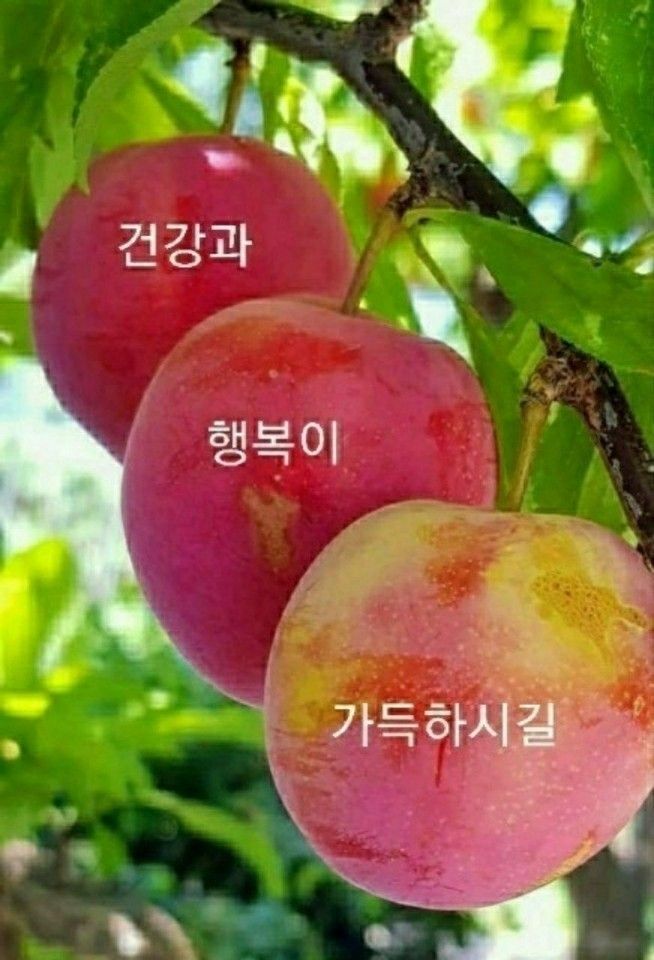 (주)호체 이미지