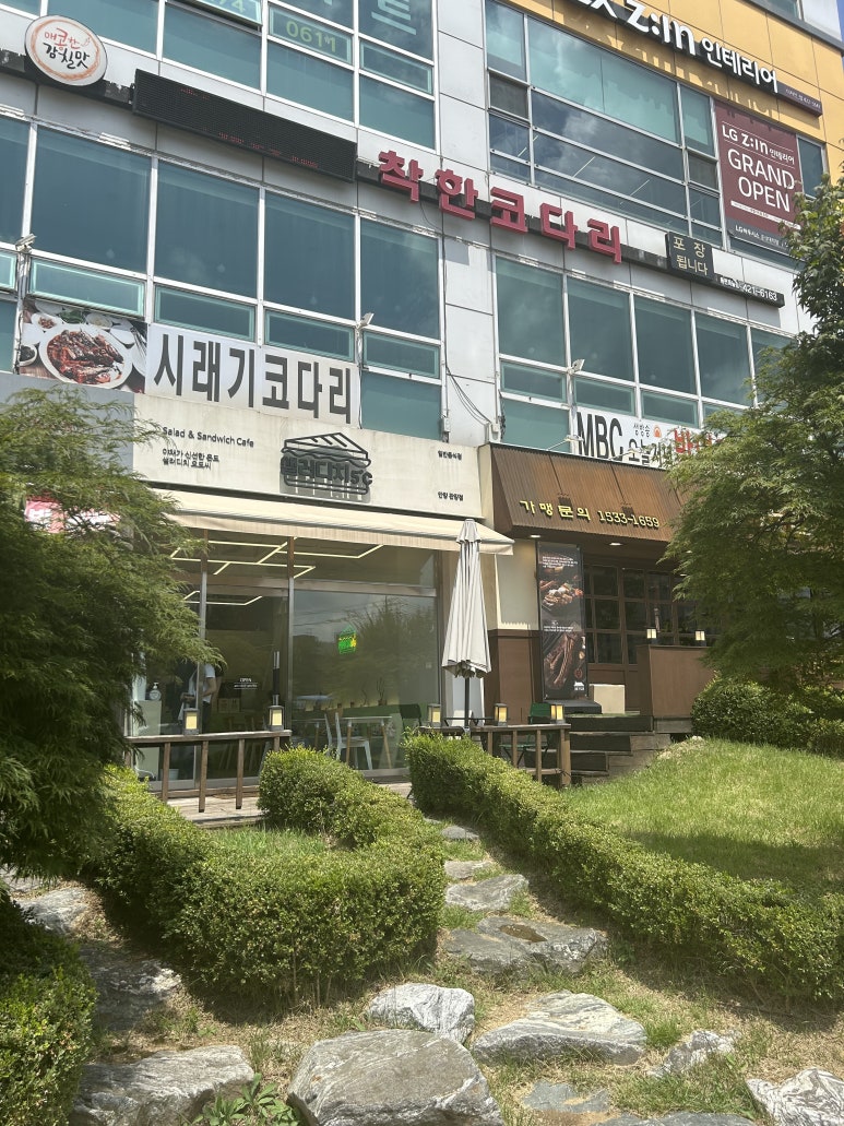 샐러디치오도씨 이미지