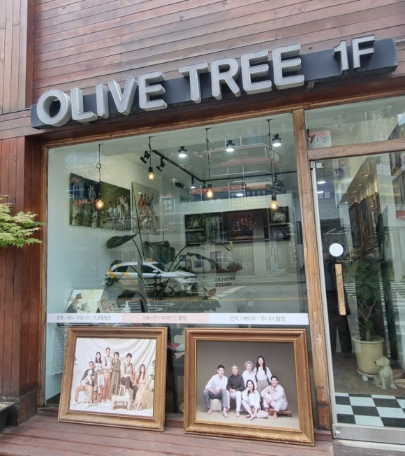 올리브트리스튜디오 이미지