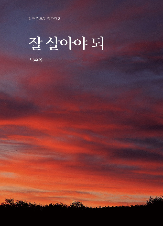 소설다방 이미지