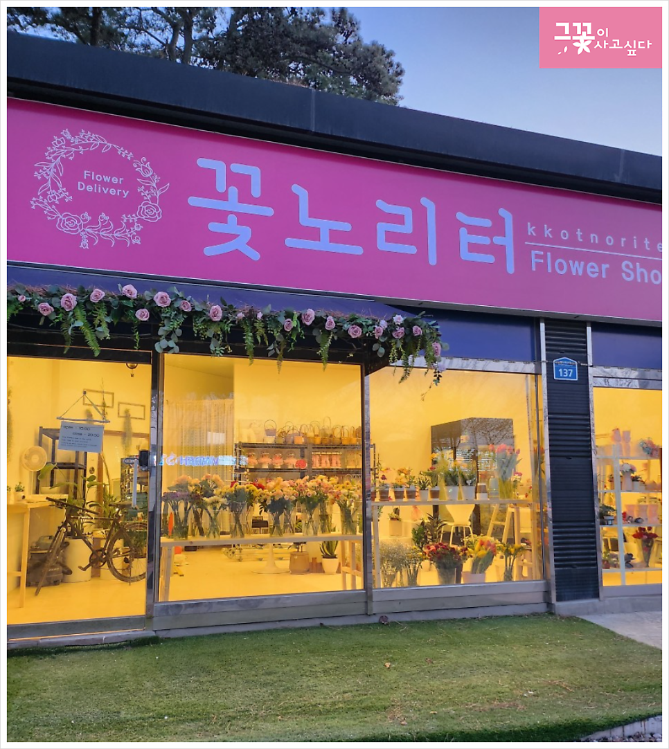 꽃노리터 이미지