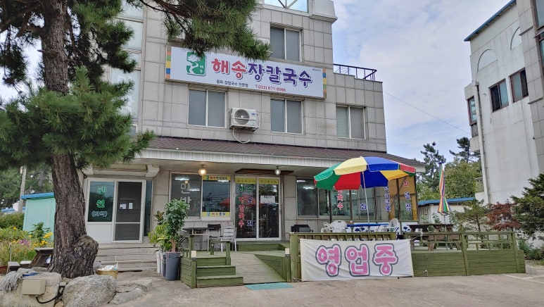 해송장 이미지